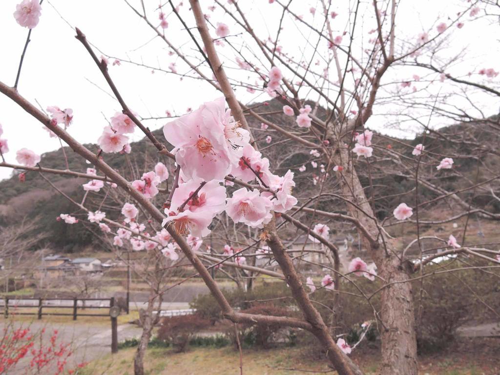 Kawasemi Ogawa (Kumamoto) Exterior foto